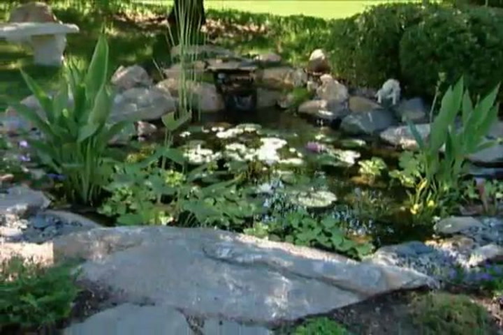 How To Put A Fish Pond In Your Backyard Ron Hazelton